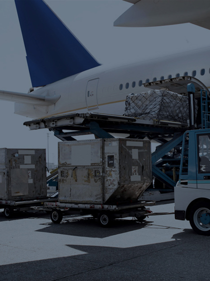 Cargo & Special Handling in Egypt | IATA DGR-Compliant