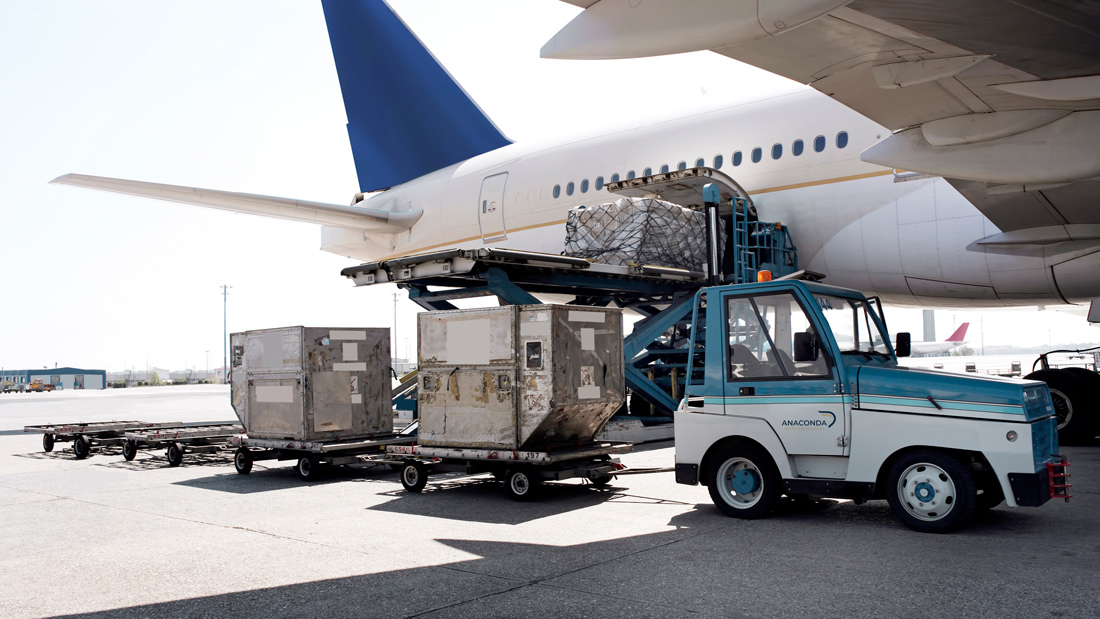 Cargo & Special Handling in Egypt